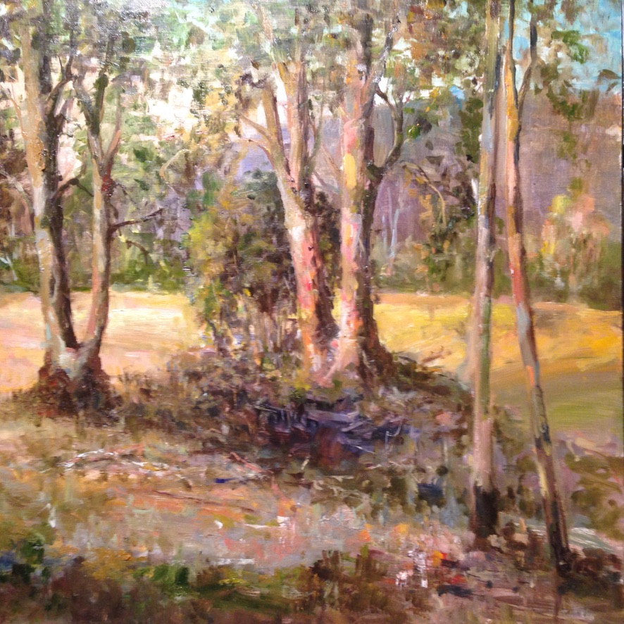 Golden Light — original oil painting on canvas by Carol D'Arcy. En plein air. 51×51cm. For sale $880 AUD. © Carol D'Arcy.